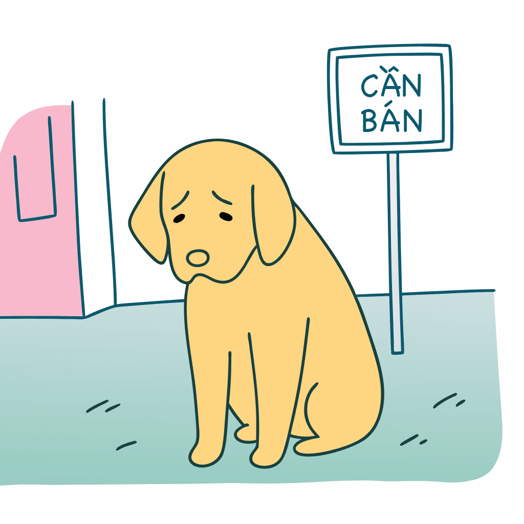 A sad yellow dog for selling