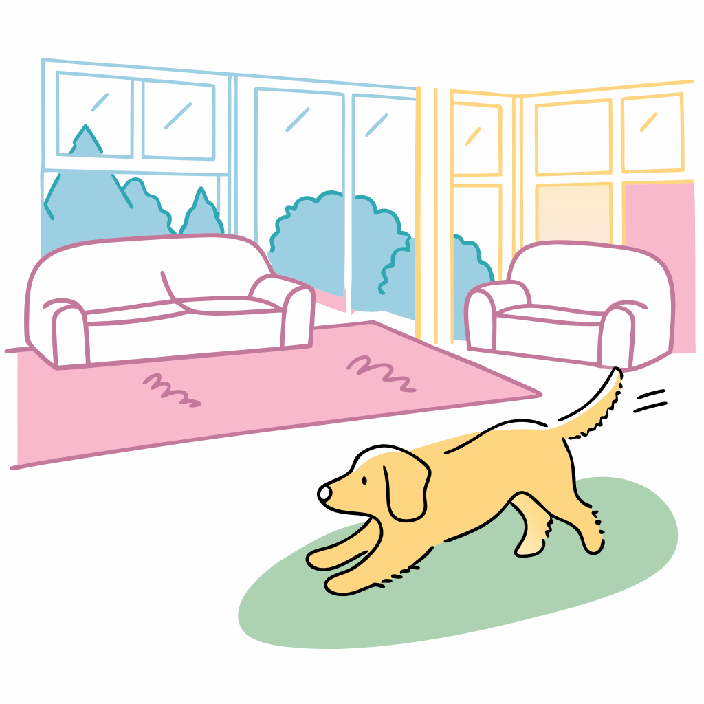 A yellow dog playing in a nice house