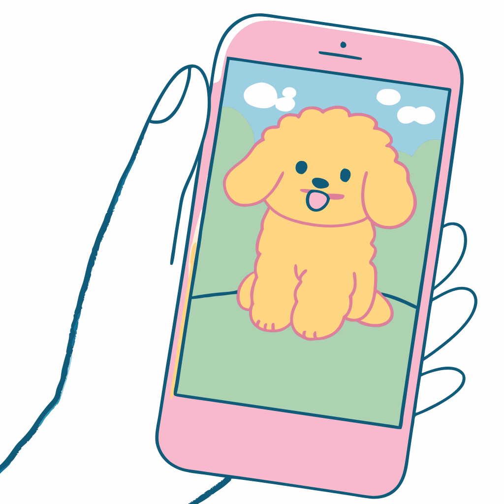 Take a photo of a dog on a phone